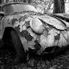 Autoskulpturenpark27