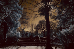 Dämmerung