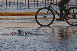 Hochwasser