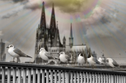 Wir warten