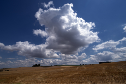Wolken