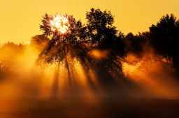 Frühsonne