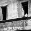 Fenster