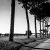 Allee